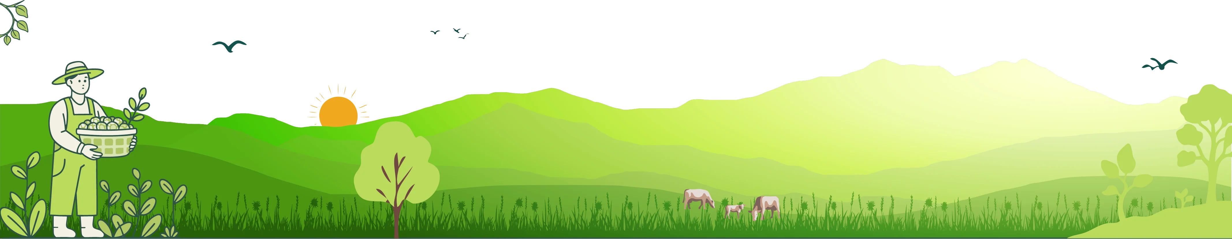 Farm illustration