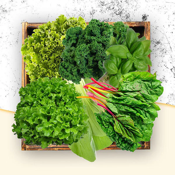Leaf Veggies