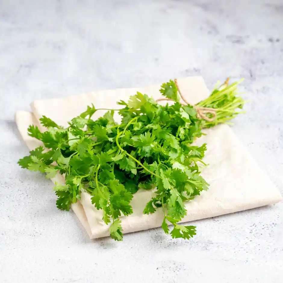 Coriander Leaves