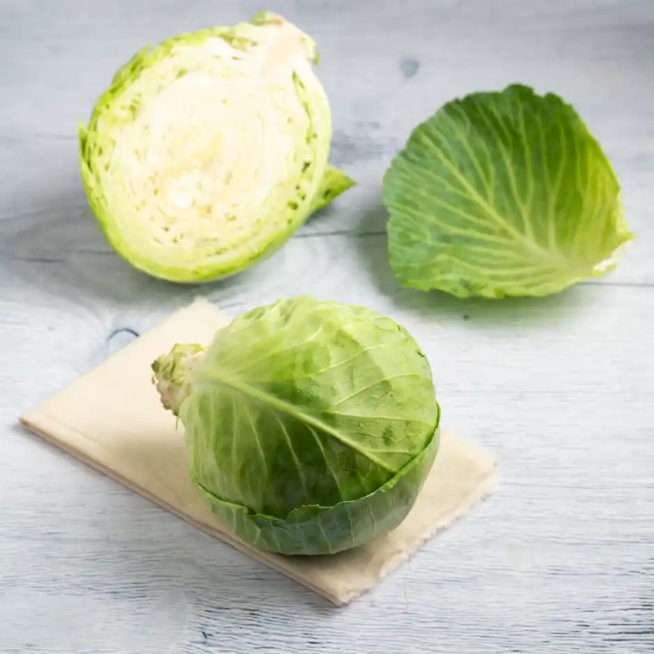 Cabbage