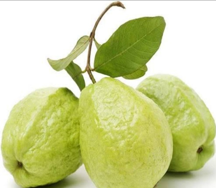 Guava