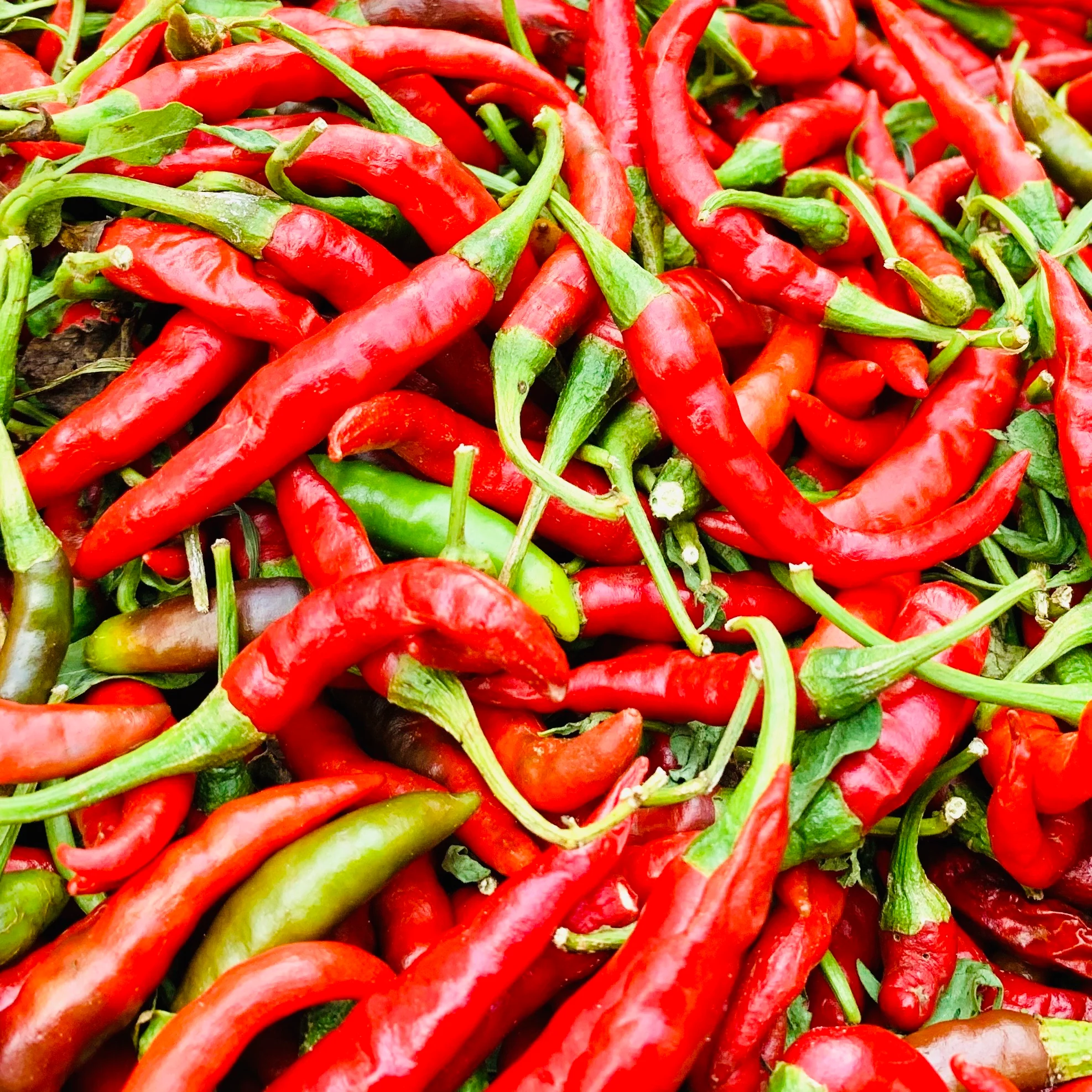 Red Mirchi