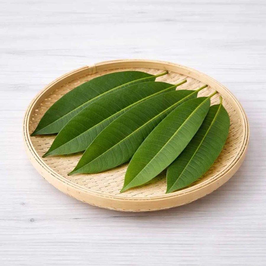 Mango Leaves