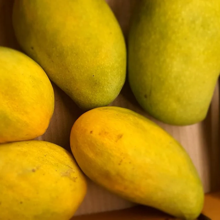 Small Rasalu Mango