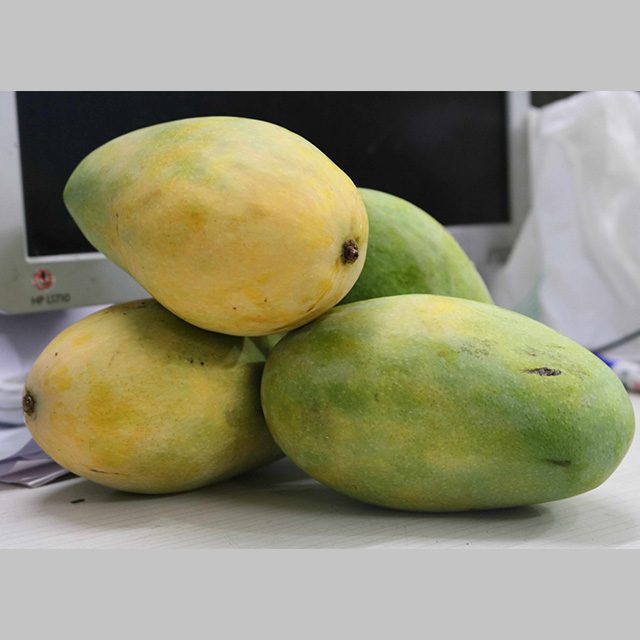 Big Rasalu Mango