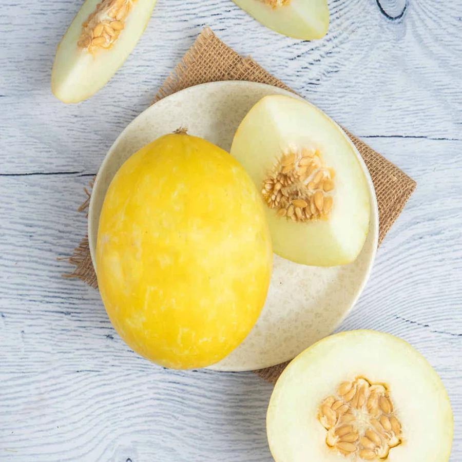 Sun Melon