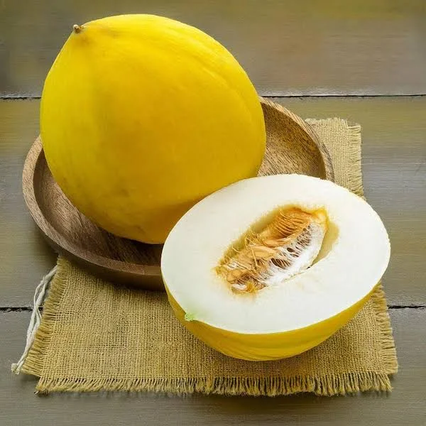 Sun Melon