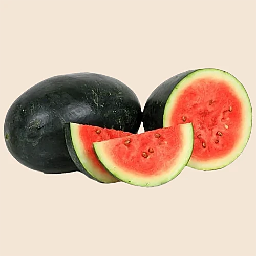 Kiran Melon