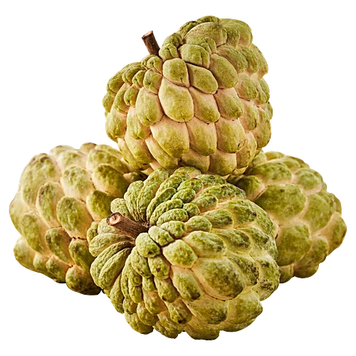Custard Apple (Seethaphal)